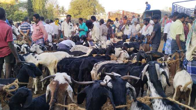 ரூ.3 கோடி விற்பனையாகும் ஆனா இப்போ ரூ.1 கோடி தான்...