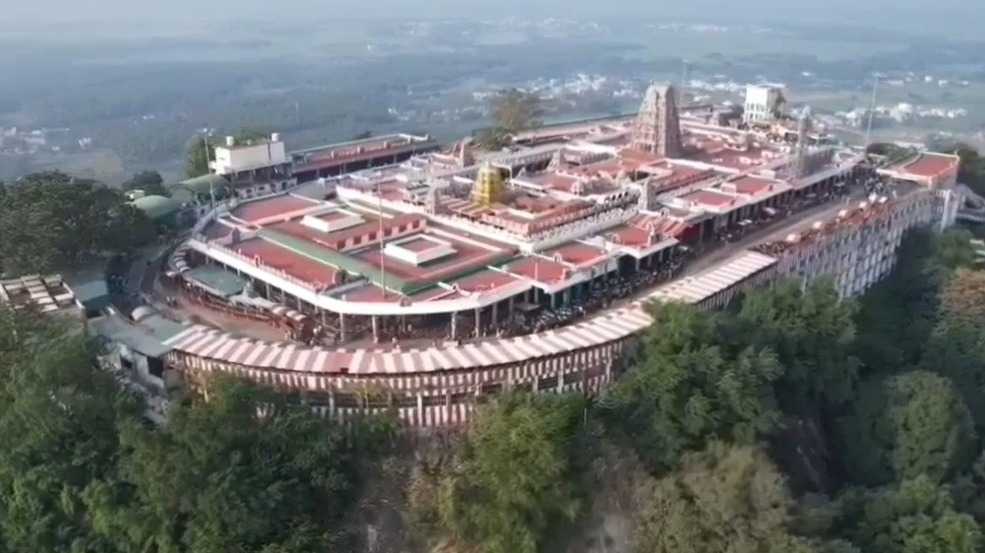 பழனி பங்குனி உத்திர விழா கொடியேற்றம்
