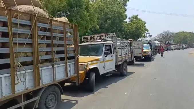 சாலையில் 2 கி.மீ. அணிவகுத்து நின்ற மஞ்சள் லோடு வாகனங்கள்