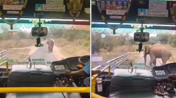 மூணாறு சாலையில் அரசுப் பேருந்தை வழிமறித்த யானை