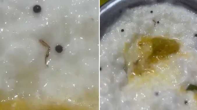 பரிமாறப்பட்ட தயிர் சாதத்தில் கரப்பான் பூச்சியின் கால்