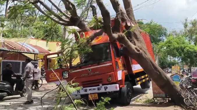 மின் கம்பிகள்  உரசியதால் ஏற்பட்ட விபரீதம்