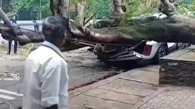மரம் விழுந்ததால் அப்பளம் போல் நொறுங்கிய கார்