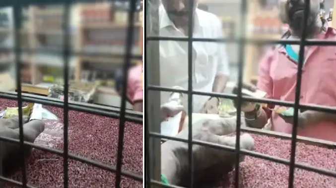 வீடியோ வெளியிட்டு வேதனை தெரிவித்த மதுப்பிரியர்