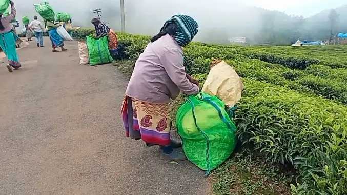 ஊதியம் வழங்கவில்லை என தொழிலாளிகள் வேதனை