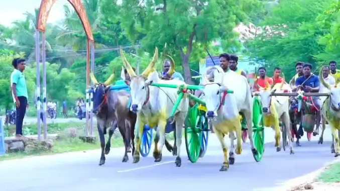 வைகாசி விழாவை முன்னிட்டு மாட்டு வண்டி பந்தயம்