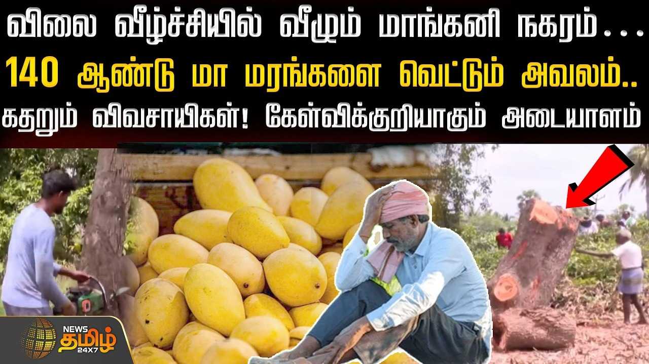 விலை வீழ்ச்சியில் வீழும் மாங்கனி நகரம், கதறும் விவசாயிகள்