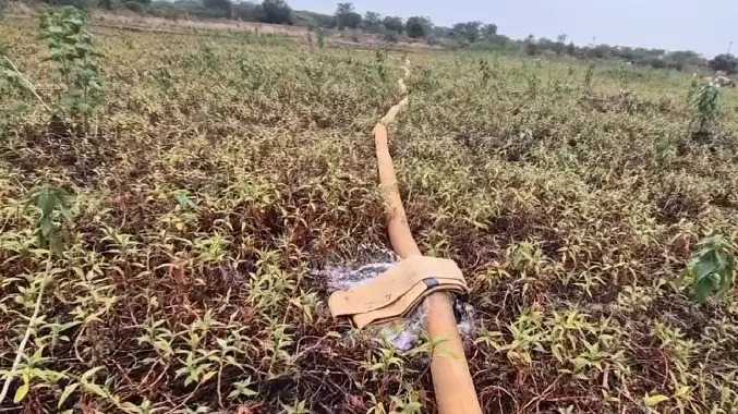 மீன் பிடிப்பதற்கு ஏரியிலிருந்து நீர் வெளியேற்றம்