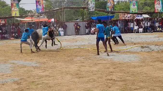 முத்துக்காளி அம்மன் கோயில் 2ம் ஆண்டு வருடாபிஷேக விழா