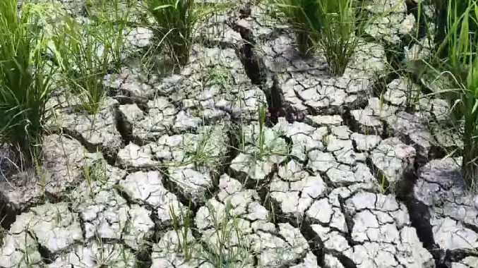 தூர் வாரும் பணிக்காக கால்வாயில் தண்ணீர் நிறுத்தம்
