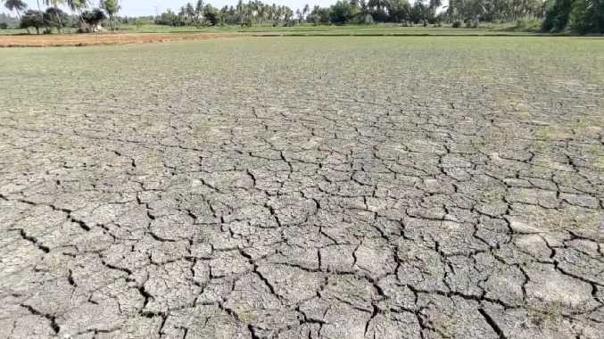 புதிய டிரான்ஸ்ஃபார்மர் பொருத்தப்படவில்லை எனப் புகார்