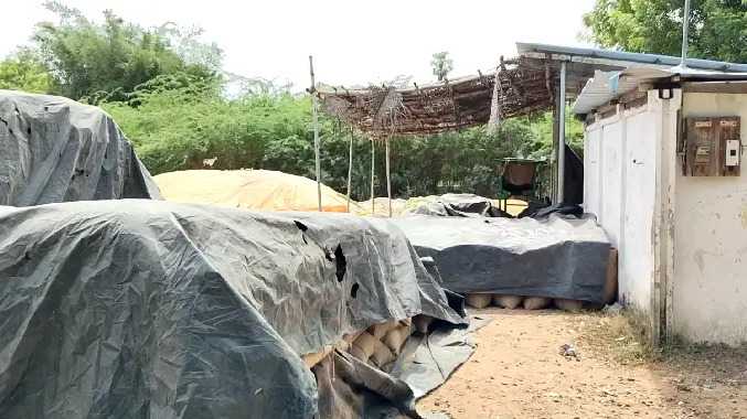 அரசு நெல் கொள்முதல் நிலையங்களில் சாக்குத் தட்டுப்பாடு