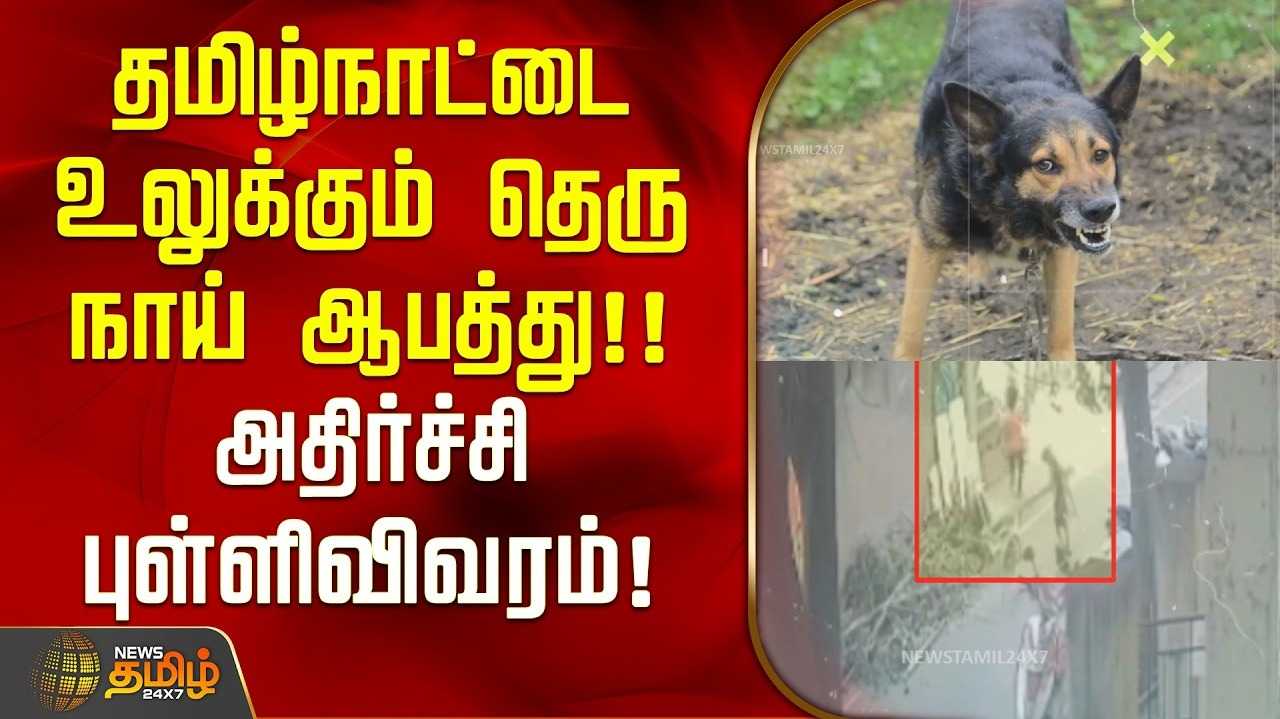 தமிழகத்தில் 7.5 லட்சம் நபர்கள் நாய்க்கடியால் பாதிப்பு, 40 பேர் பலி