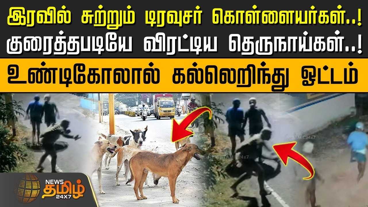 இரவில் சுற்றும் டிரவுசர் கொள்ளையர், குரைத்தபடியே விரட்டிய தெருநாய்கள்