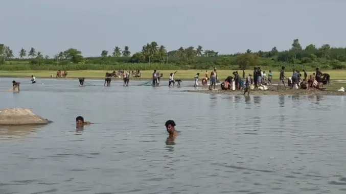 கல்பட்டு ஏரியில் களைகட்டிய மீன்பிடி திருவிழா