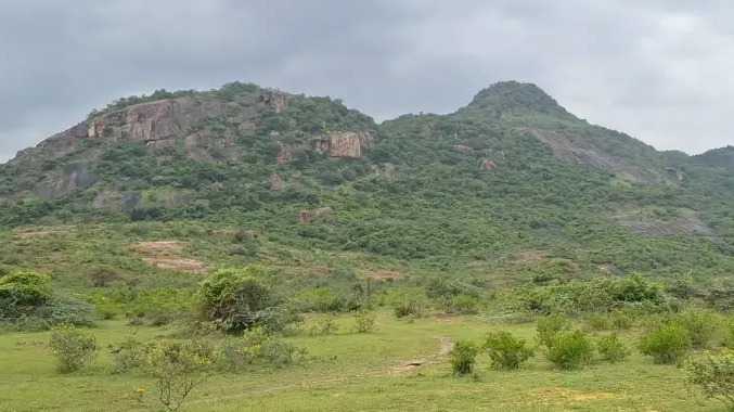 கரடி தாக்கியதில் இளைஞர் படுகாயம்