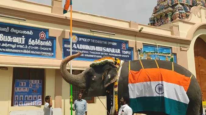 ஆதி கும்பேஸ்வரர் கோயில் யானை கொடிக்கு மரியாதை