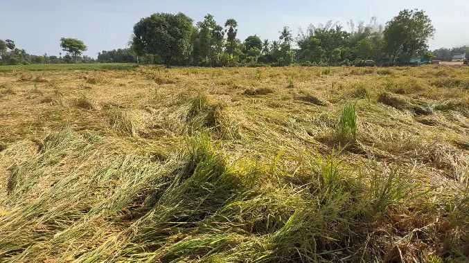 காற்றுடன் பெய்த கனமழையால் பாதிப்பு
