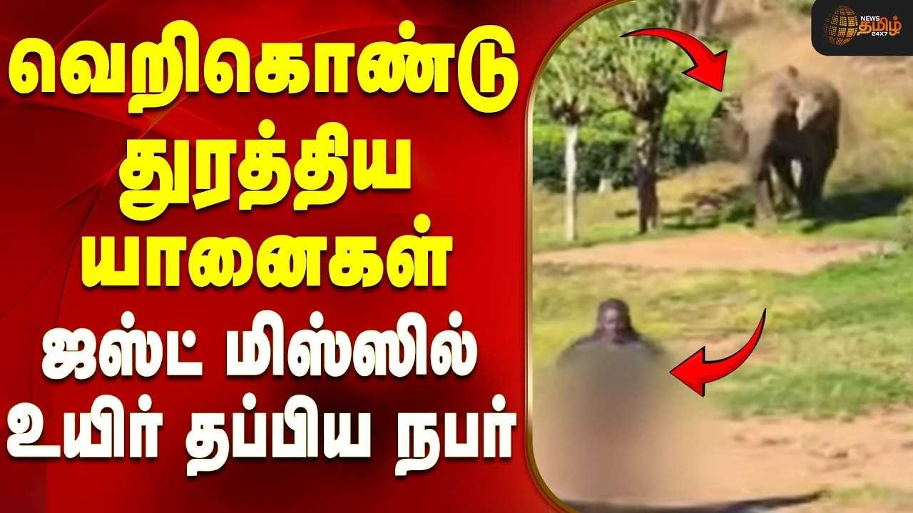 தேயிலை தோட்ட தொழிலாளியை துரத்திய காட்டு யானைகள்