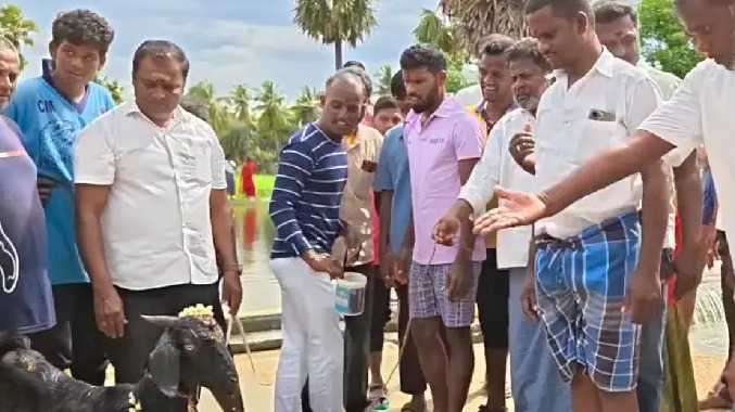 கிராம மக்கள் ஆடு வெட்டி சிறப்பு பூஜைகள் செய்து வழிபாடு