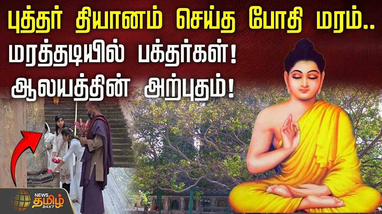புத்தர் தியானம் செய்த போதி மரம், தானாக விழுந்தால் மட்டுமே இலைகூட நமக்கு