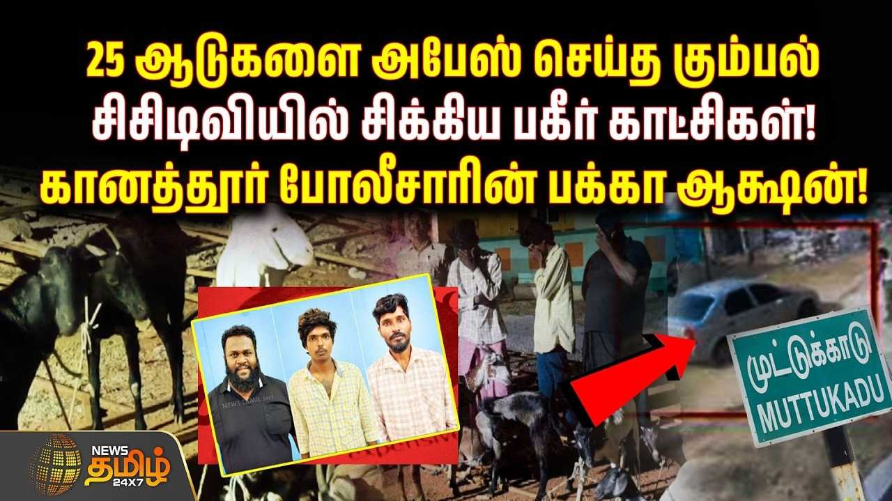25 ஆடுகளை அபேஸ் செய்த கும்பல் 
சிசிடிவியில் சிக்கிய பகீர் காட்சி