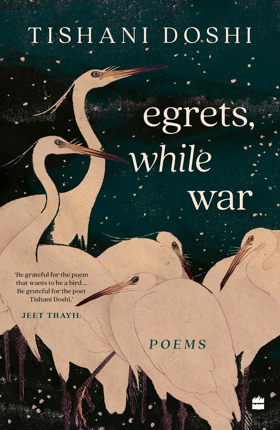 Cover of Egrets, While War Cover of Egrets, While War