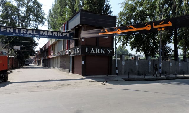 دارالحکومت دہلی میں کشمیریوں کی حمایت میں مظاہرہ