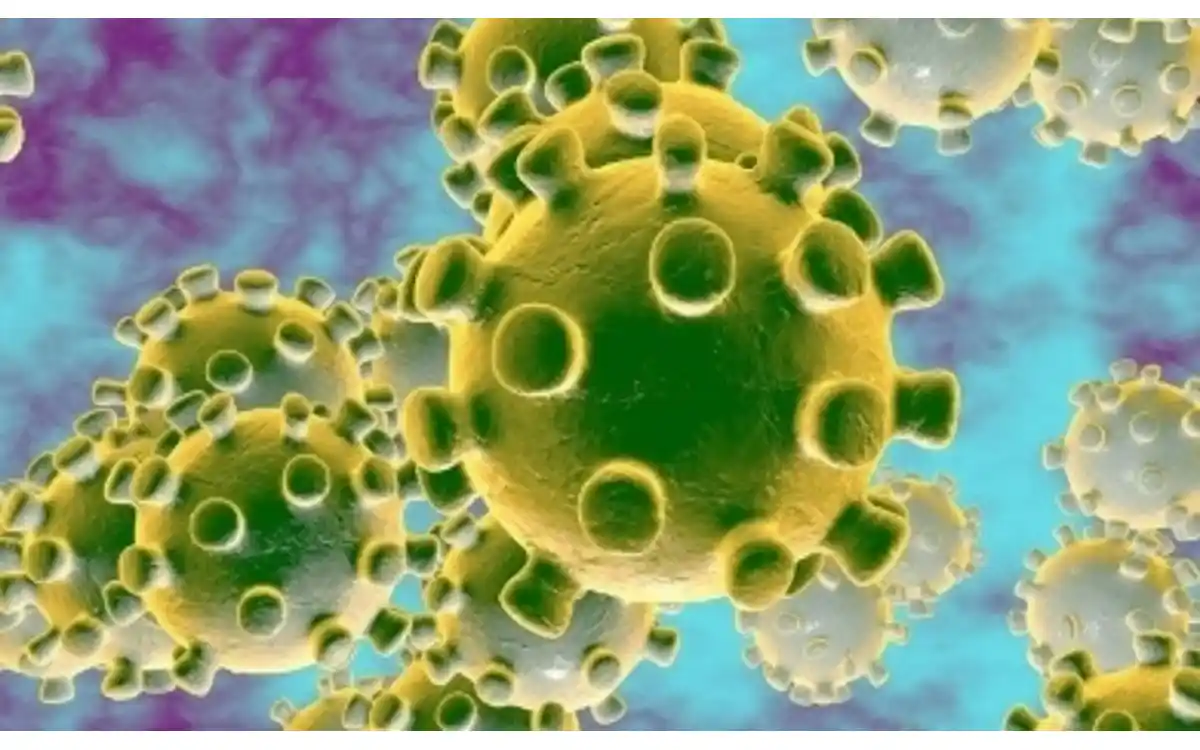 Image result for हाइड्रोक्सीक्लोरोक्वीन और क्लोरोक्वीन