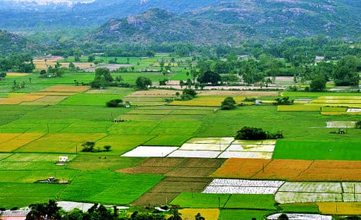 Land Acquisition Learn From The States