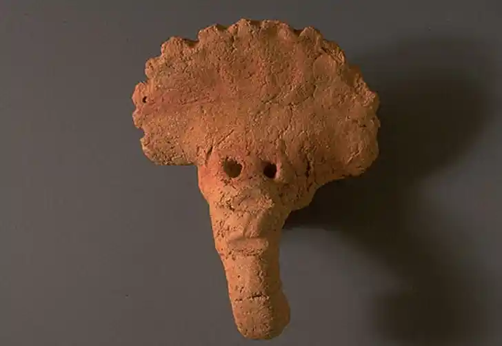 The Elephant In The Sacred Space the elephant in the sacred space