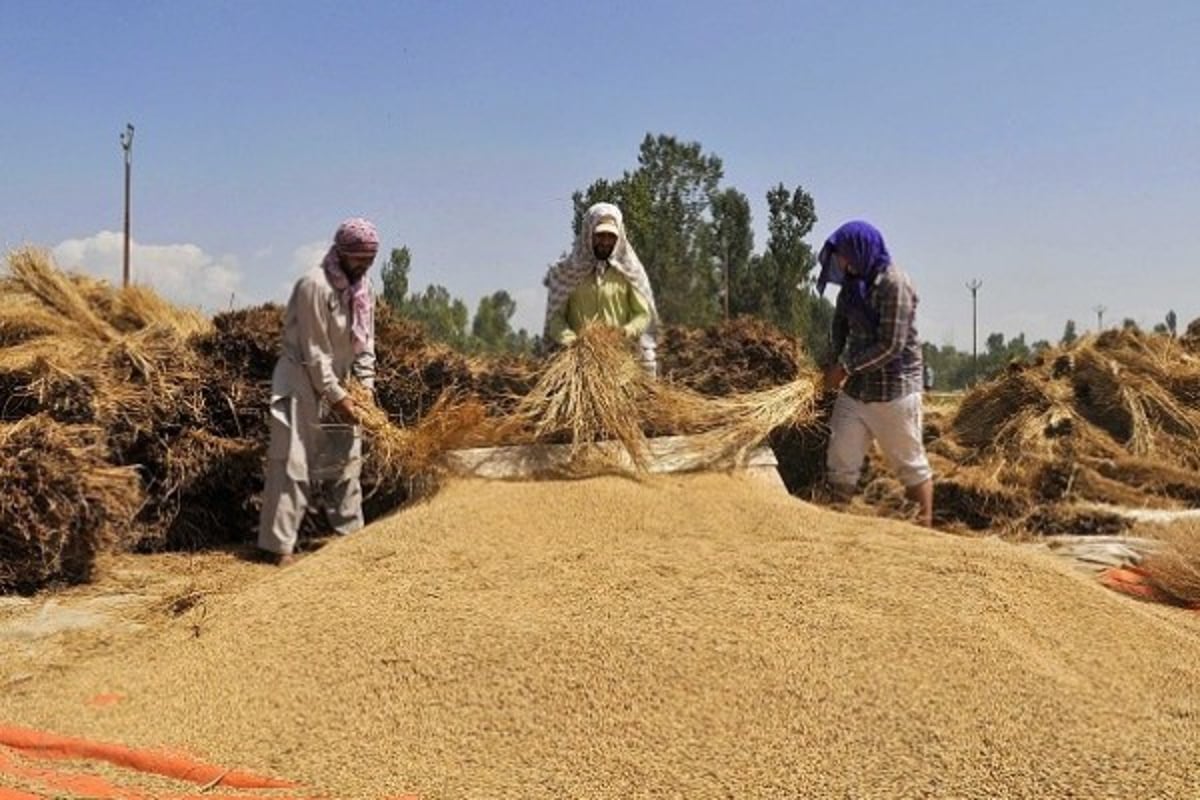 Govt Plans To Create World-Class Storage System To Strengthen Post-Harvest Supply Chain Across The Country - Vimarsana News