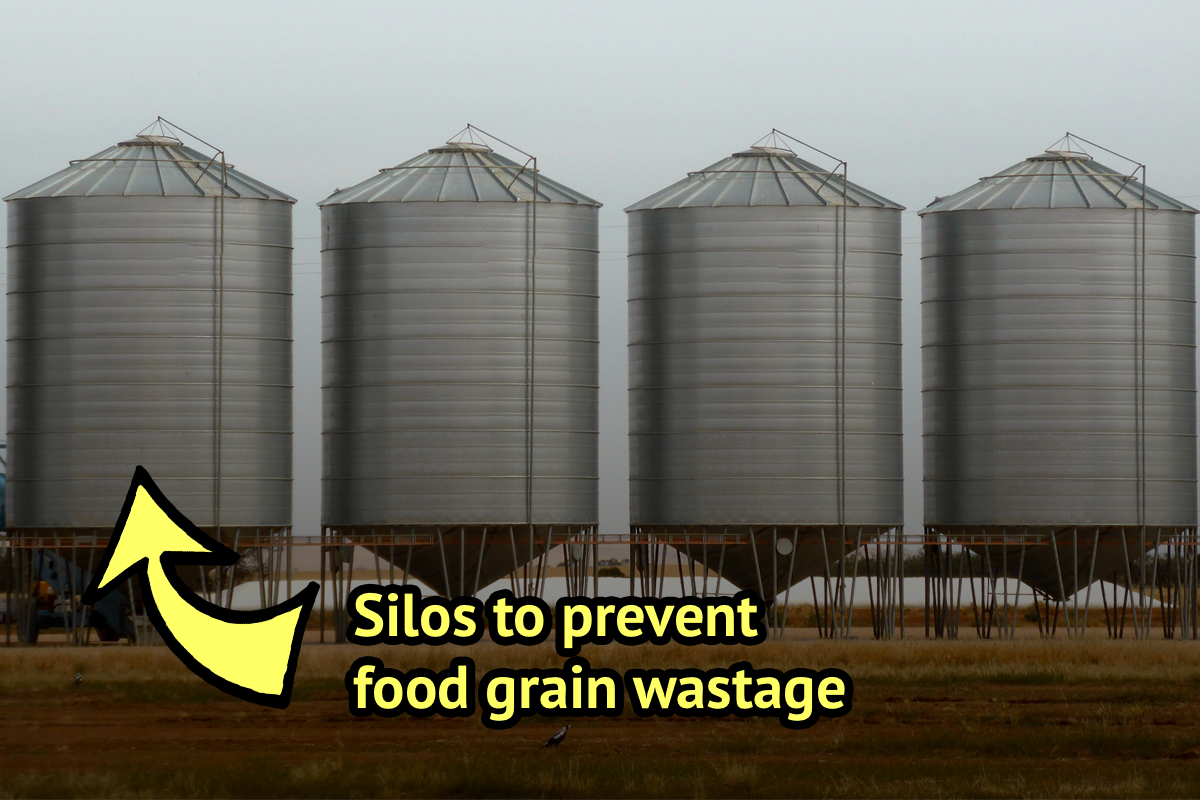 Storing Food Grains In Silos An Effective Method To Counter Regular