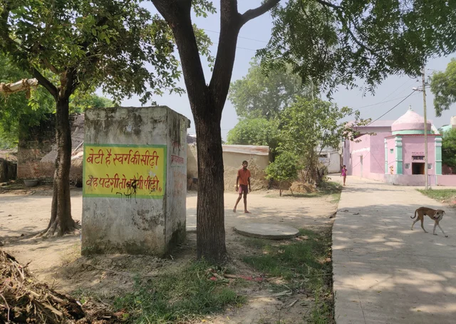 Near the entrance to Dhanwanpur village