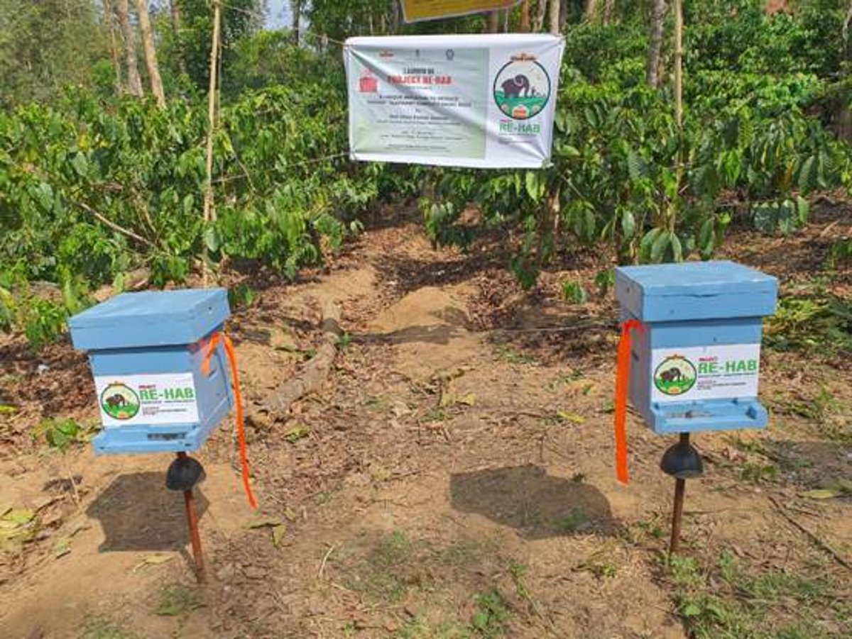 'Bee-Fences' Set Up To Scare Away Elephants And Prevent Human-Animal Conflict In Karnataka - Vimarsana News