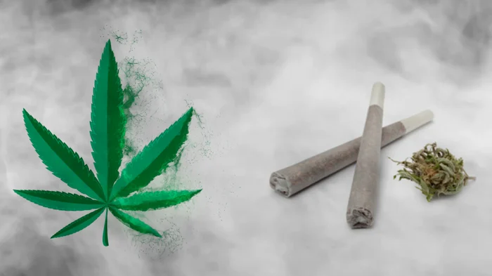 the unsuccessful quest to legalize marijuana use Four presidents have personally waged war on drugs unfortunately the boggs act of 1951 drastically increased the penalties for marijuana use. the unsuccessful quest to legalize marijuana use Four presidents have personally waged war on drugs unfortunately the boggs act of 1951 drastically increased the penalties for marijuana use.