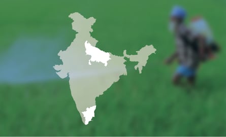 Counter Point Hindi Belt S Democratic Sacrifice Fuels Southern Tantrums