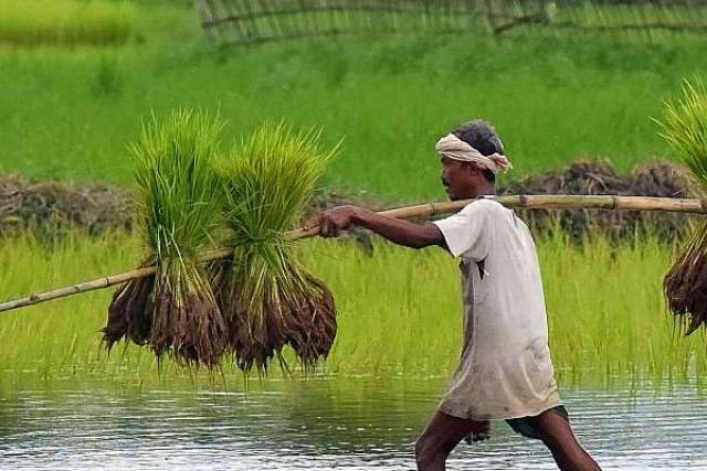 Farmers Need To Be Revered, But We Need Far Fewer Of Them In The Fields