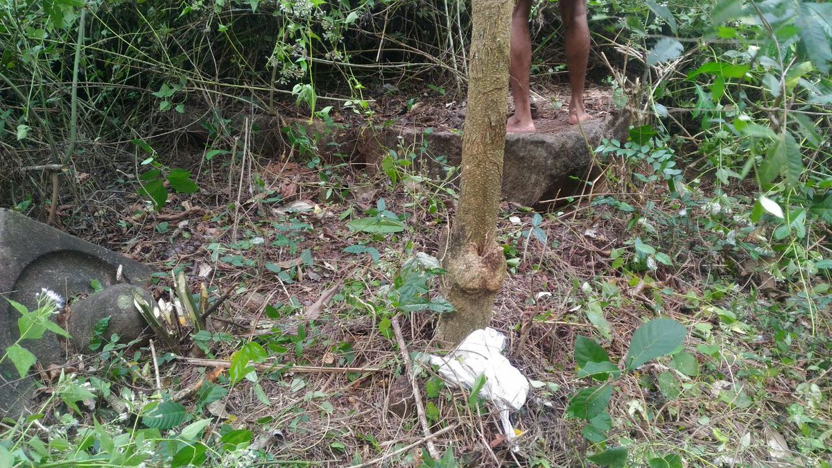 A Shiva lingam thrown around the ruins