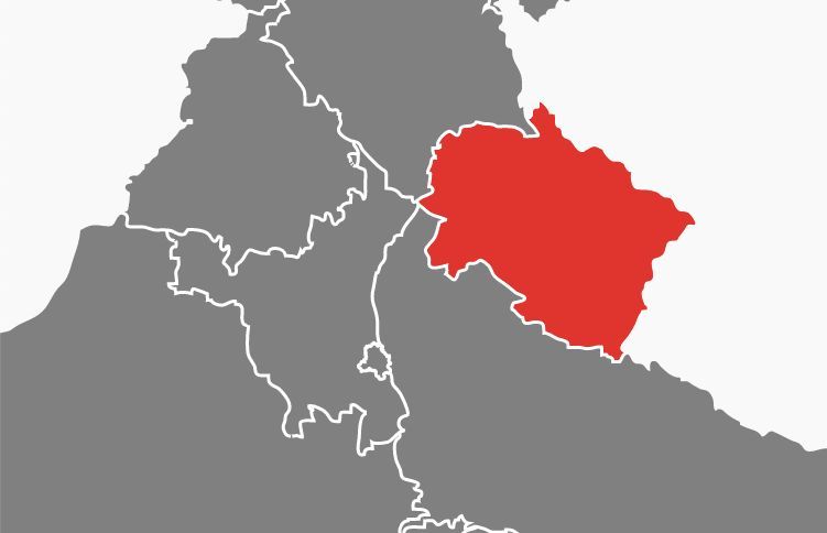 Covid 19 Test Report