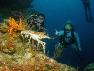 All You Need To Know About Scuba Diving In Cozumel