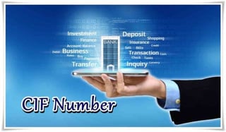 What Is CIF Number And What Are Its Uses?