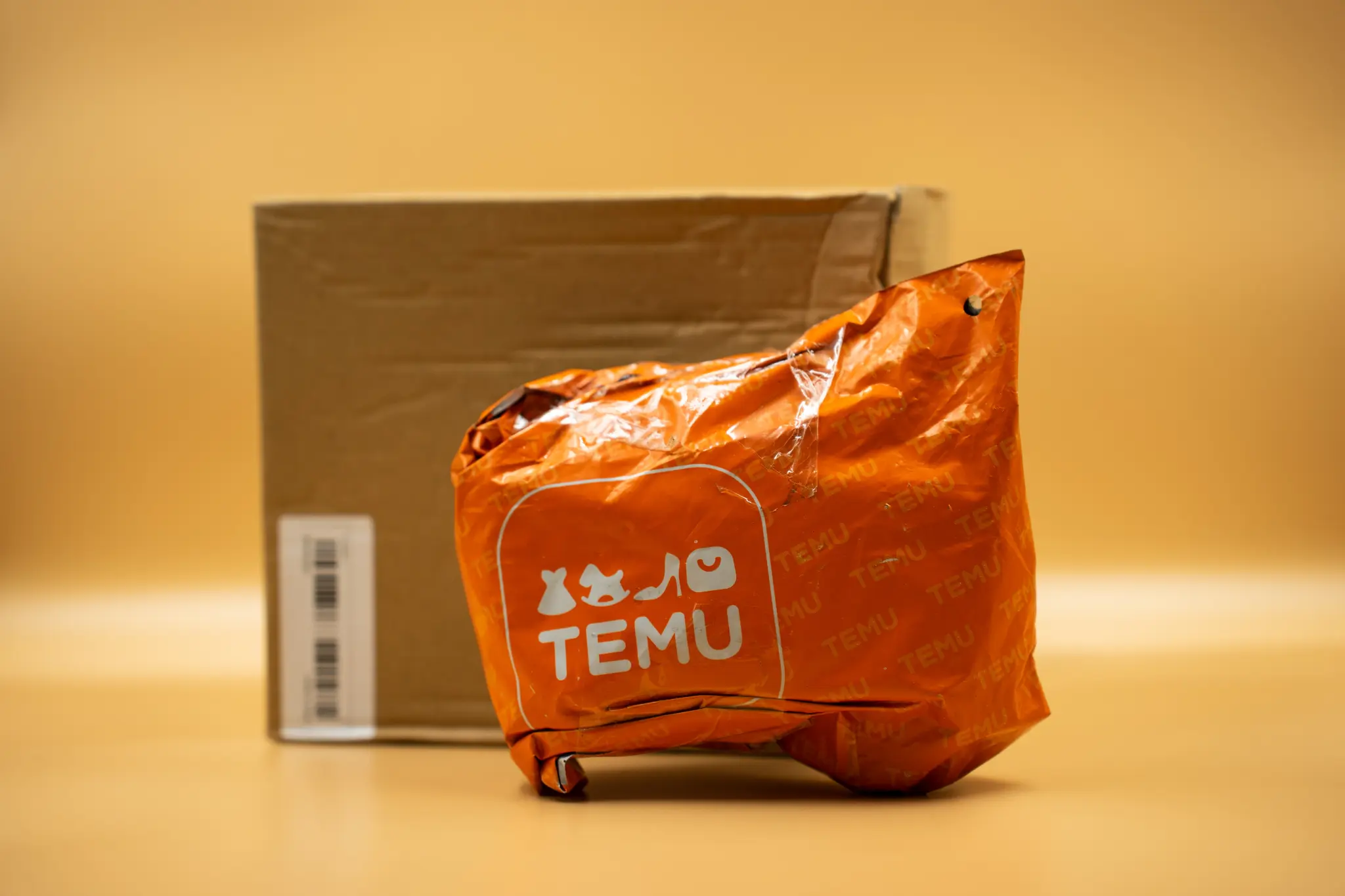 House Intel Seeks Answers on Temu Data Handling