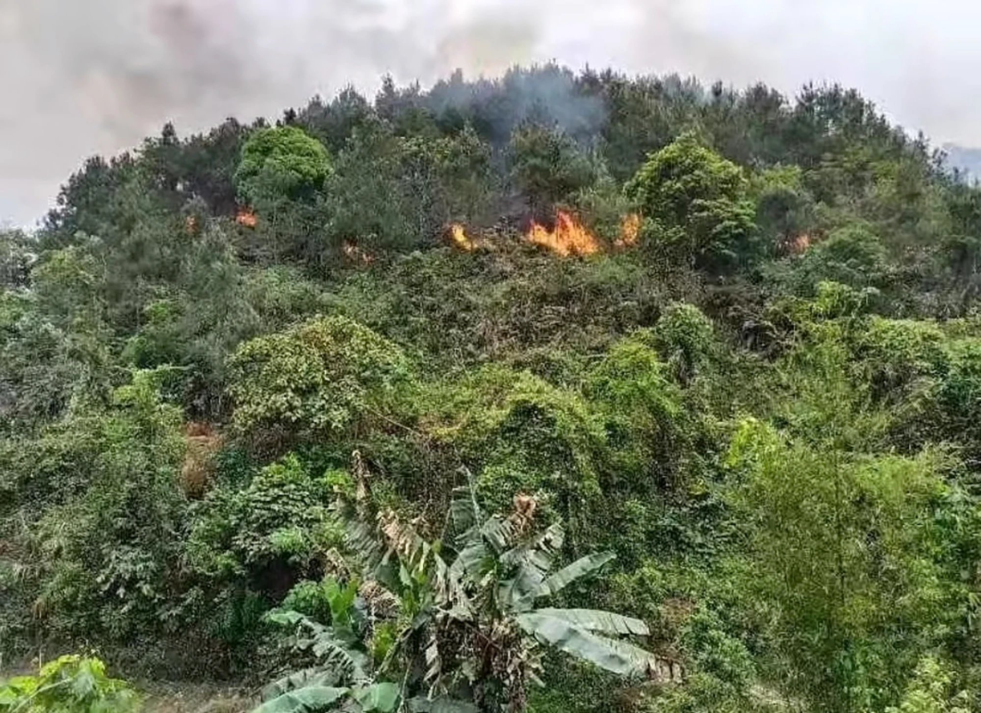132 Passengers Aboard Fatal Chinese Airline Crash