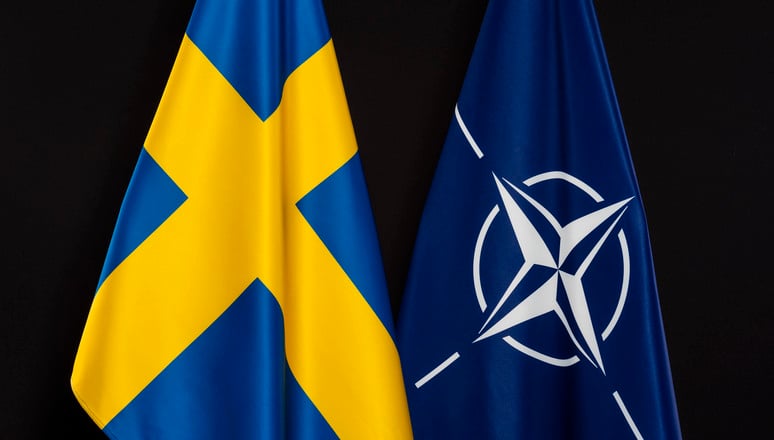Swedish Prime Minister Announces NATO Apllication