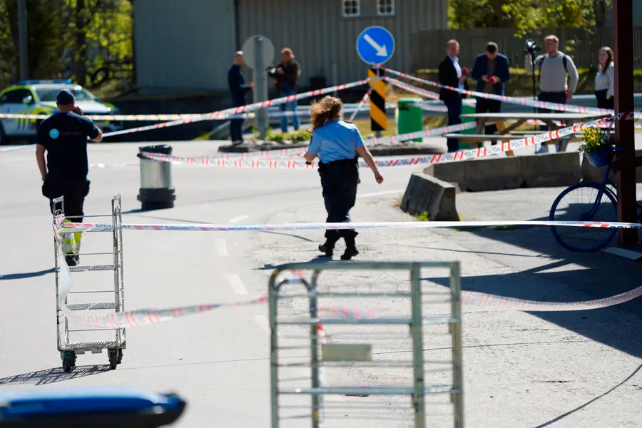 Syrian Refugee Stabbed Wife in Grocery Store in Numedal, Norway