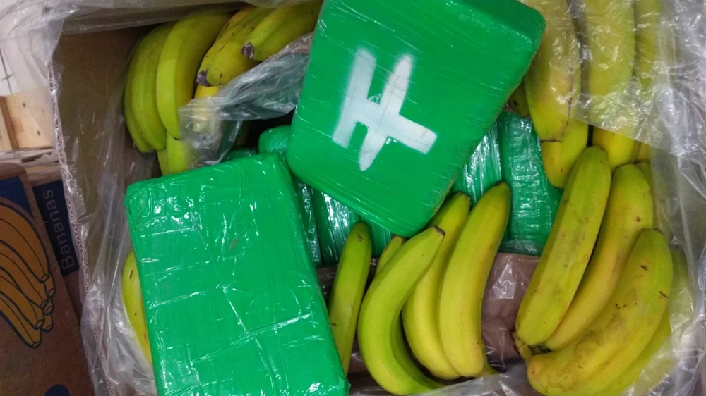 €300 Million of Cocaine Hidden in Banana Shipment Seized in Portugal