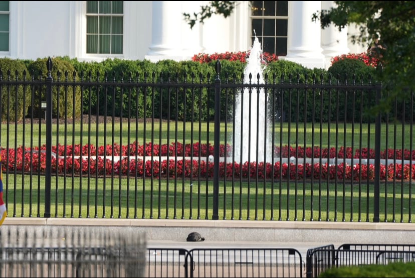 Suspicious Package Prompts White House Lockdown