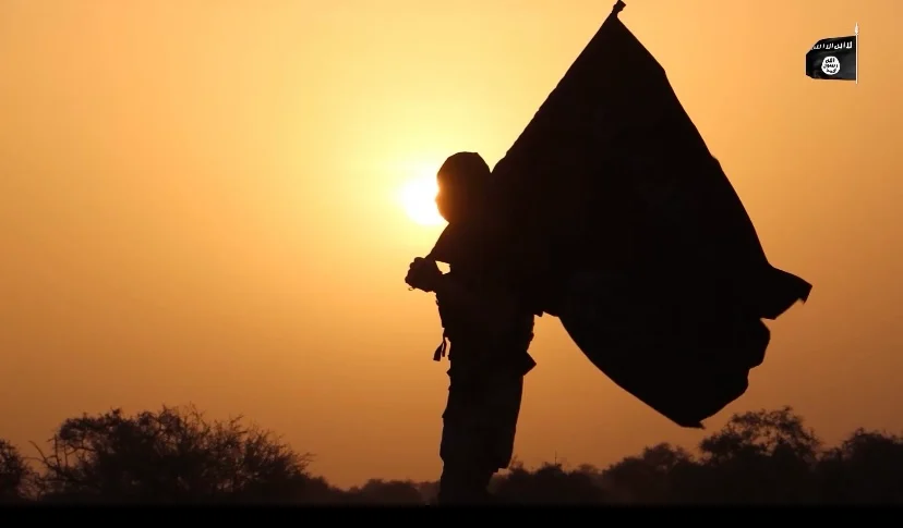 ISIS Releases Combat Footage From Borno, Nigeria