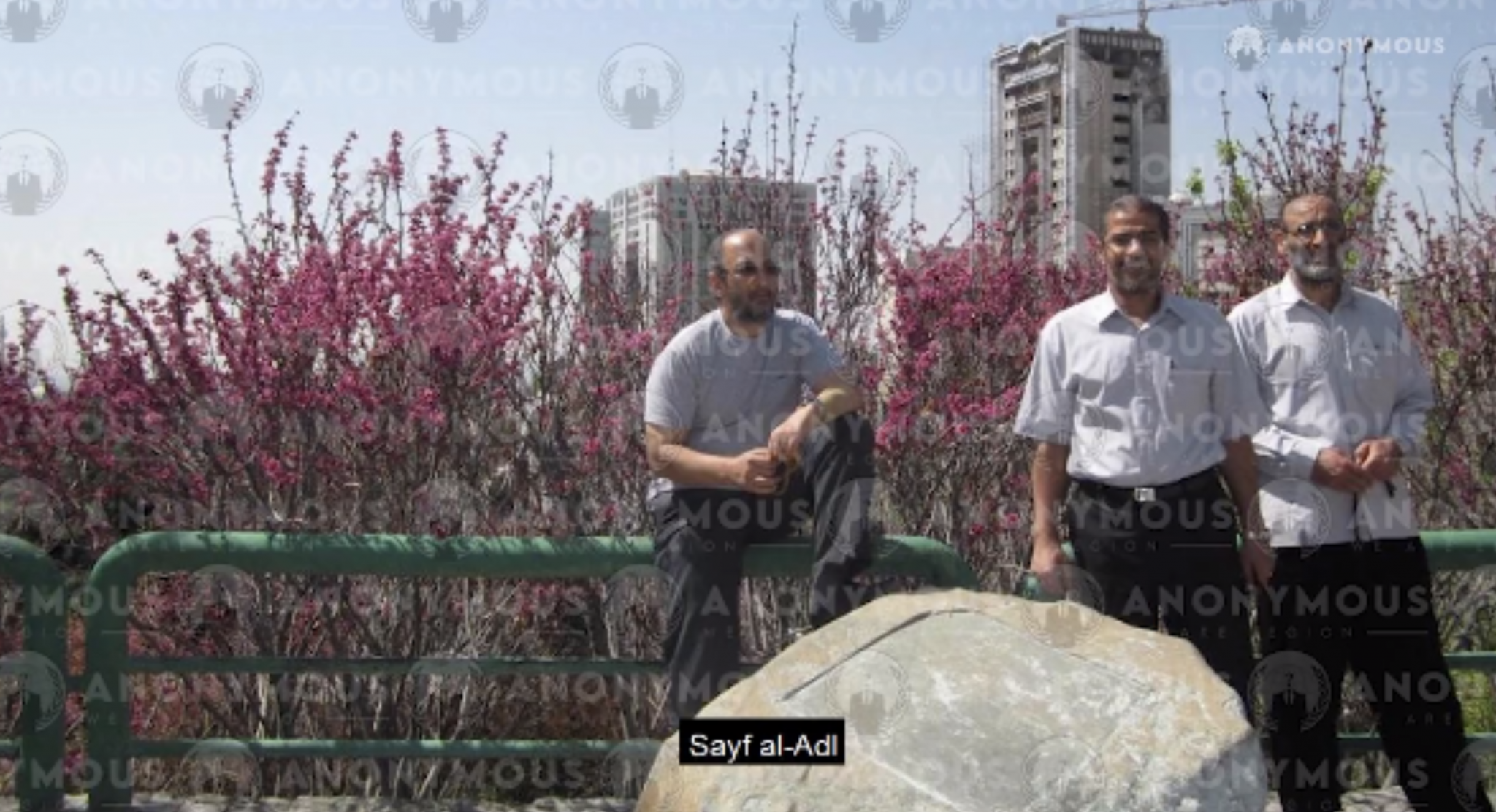 Photo of Al-Qaeda Leaders in Iran Appears Online